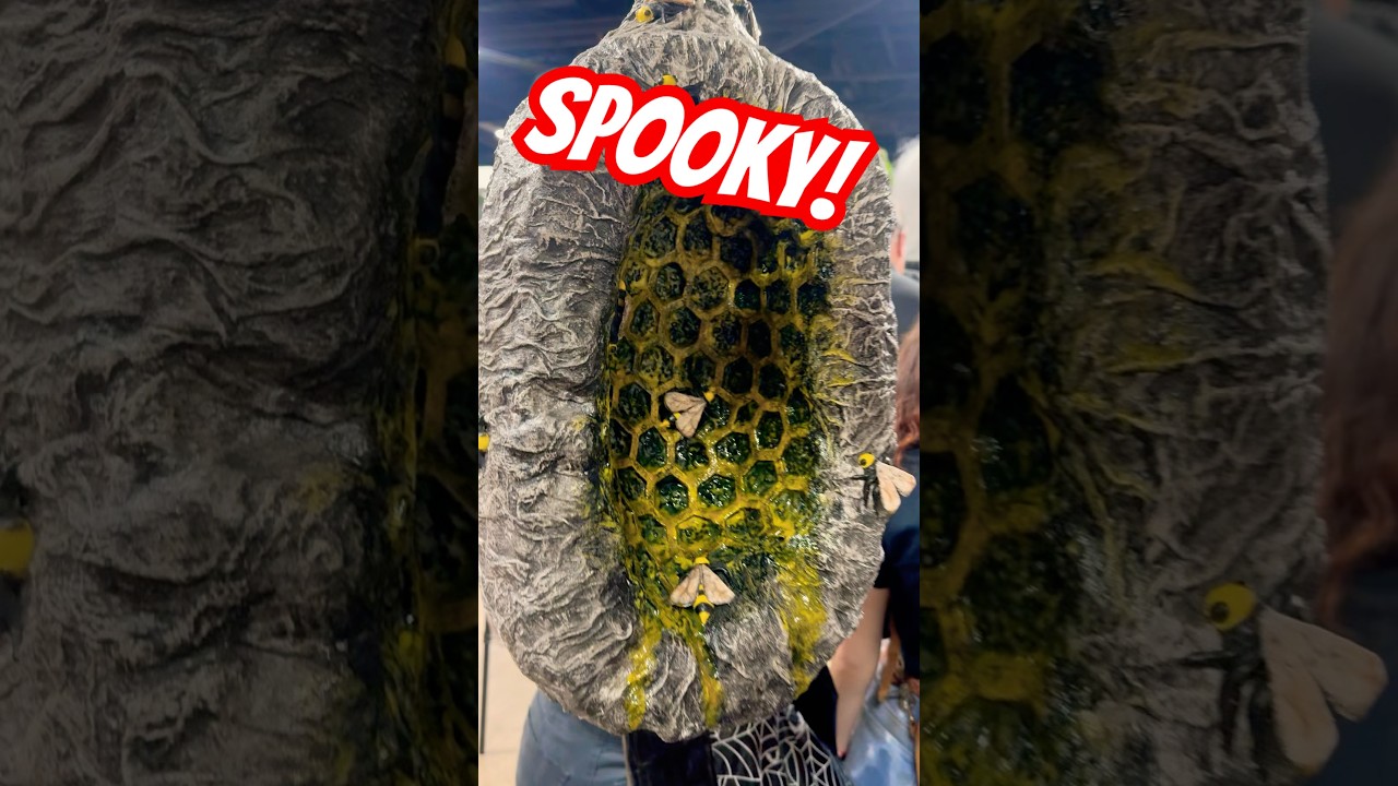 🎃SPOOKY👻❗️ #howto #costumemakeup #spooky #makeup #halloween#fyp #transworld💀