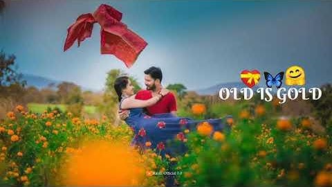 Old is Gold Whatsapp Status video 💕 Trinding Hindi song status old 🖤