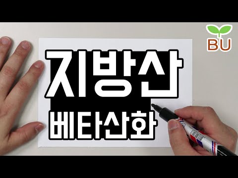 [설명편] 지방산의 베타 산화