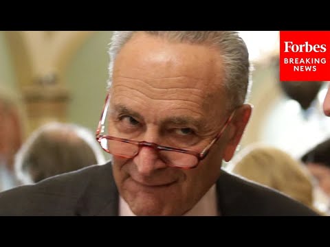 This Is How Chuck Schumer Is Seeking To Intimidate The Federal Judiciary: Top GOP Senator