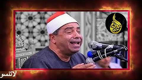 تلاوه قرانيه قصيره وصلاه الفجر يؤم في صلاه الفجر فضيله القارئ الشيخ  محمود محمد الخشت 26 11 2024م