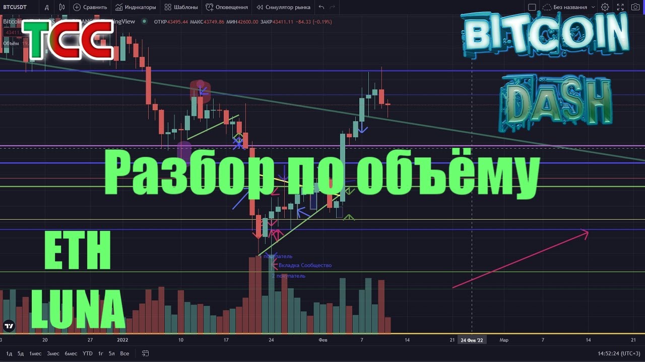 Dashing обзор. Dashing обзор
