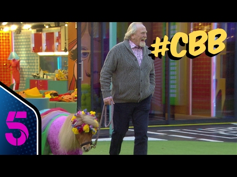 Top 5 tasks of CBB 2017 - YouTube