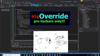 b1g override tutorial - PRO HACKERS ONLY #4