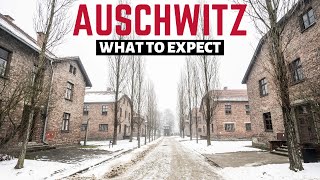 What to Expect on your AUSCHWITZ TOUR - Inside Concentration Camp