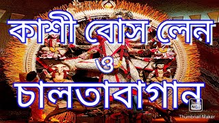 কাশী বোস লেন ও চালতা বাগান ২০২২ | Kolkata Durga Puja Parikroma 2022 |Rhythmic Entertainment