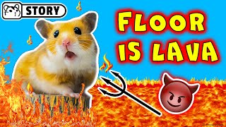 Epic Hamster Volcano Adventure - The Floor is Lava 🔥  Homura Ham