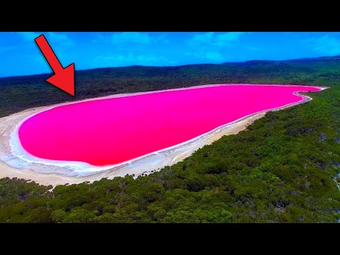 Vídeo: Não Toque! Segredos De Um Lago Rosa Que Muda De Cor - Visão Alternativa