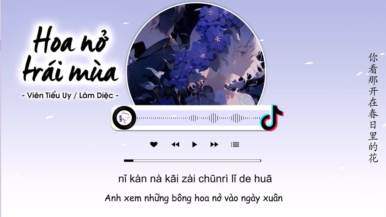 Video YouTube