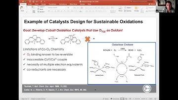 CCHF VS Undergraduate Edition 1.2 - Prof. MacBeth