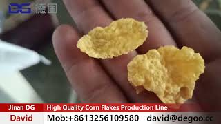 DG Corn Flakes Production Line Breakfast Cereals Production Line Well Working in Chinese Market