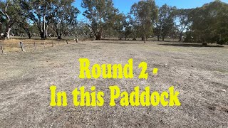 Round 2 In this Paddock