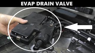 Subaru EVAP Drain Valve | P0447 P0448 P1443