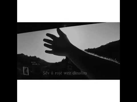 أجمل أغنية كردية جبار داردي فيدنياي حالات واتس أب 