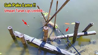 Gila Bener!! Tarikan ikan ini Bener² Ganas, Mancing kakap putih Babon