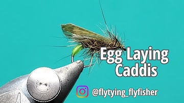 Dryfly - Egg Laying Caddis