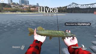 Играем в игру Ultimate Fishing Simulator