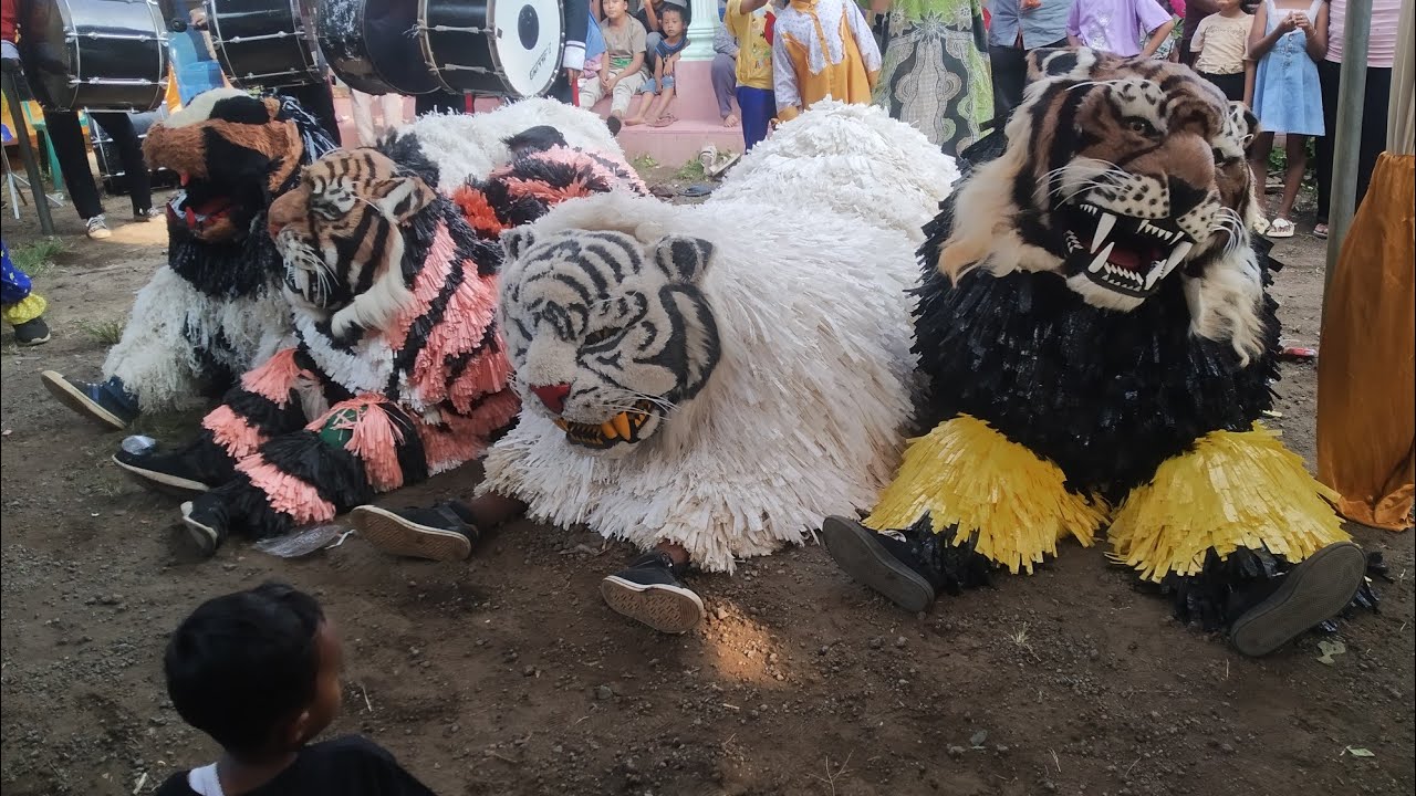 Acara walimatul hitan arjasa jember//drambend wali songo//singo sakti official