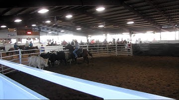 Smurfs Twist - 9//9/12 USTPA #3 sort - 9 head - Valley View Ranch