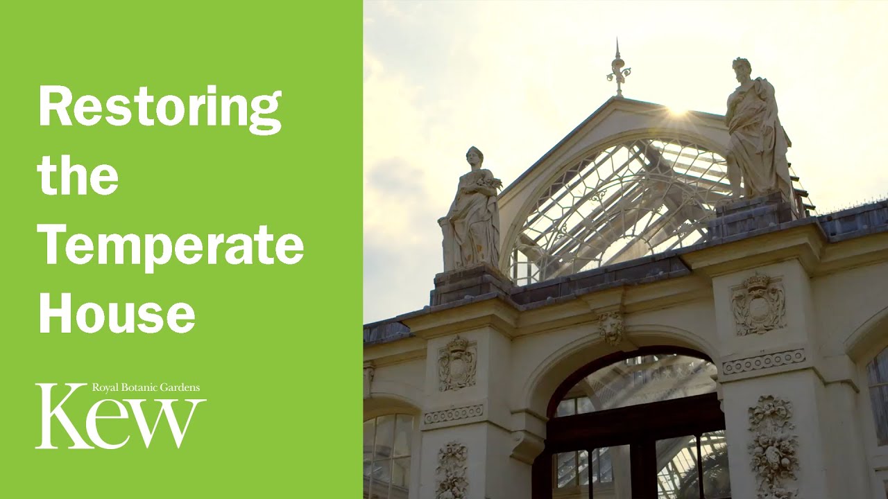 Restoring The Temperate House At Kew Gardens You