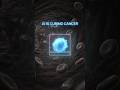 AI Is Curing Cancer