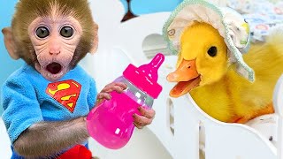 Five Little Ducks, Bath Song | CoComelon Nursery Rhymes & Kids Songs | Bon Bon Monkey Baby Songs