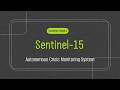 Sentinel-15: Autonomous Crisis Monitoring System – Taran