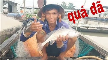 Chuyến Thăm Lưới Cá Sủ Đầy Bắt Ổn Nhất Nào Giờ Của Gia Đình Sư Mẫu # SĂN BẮT ĐỒNG THÁP #