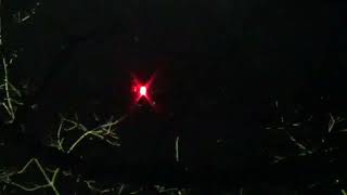 nightlight 1