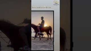 Beach Horses Of Ras Al Khaimah Rak Uae Riding, Jumping & Swimming In Paradise