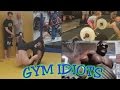 Gym Idiots - Conor McGregor's Fight Training & Kali Muscle's 200-lb Curls