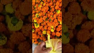 Tuesday Hanumanji Puja Vlog Lakra