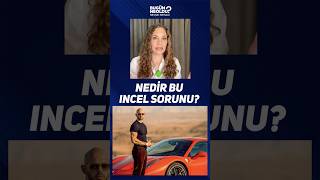 Nedir Bu Incel Sorunu?