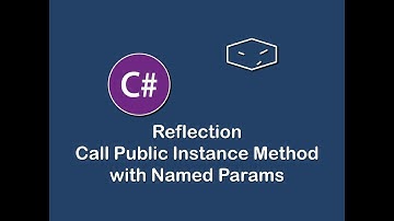 call public instance method with named params using reflection in c#