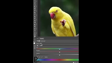 Trick To Change Specific Colors - Short Photoshop Tutorial