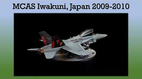 The Bengals; USMC VMFA(AW)-224