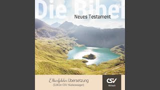 Kapitel 254.2 - Elberfelder Hörbibel (Nt)