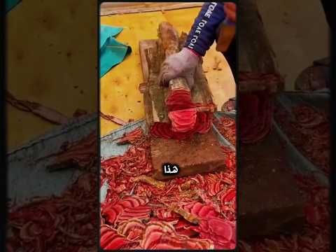 اغلی خشب في العالم خشب الصندل الاحمر 