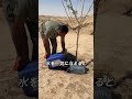植物の水やり、量より大事なこと