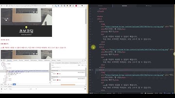 6-2강 CSS를 HTML 태그 안에서 분리하기