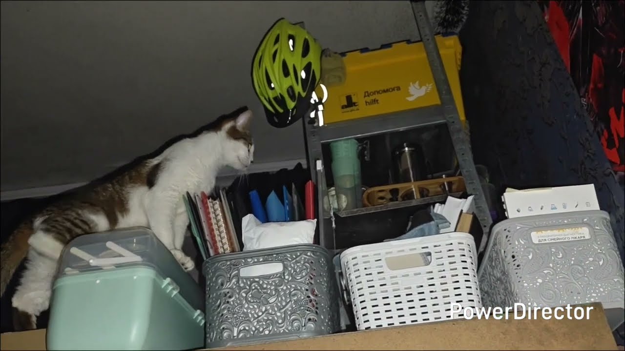 Славянск.07.03.26. Что у нас Происходит и Как Прошёл День.💥Вечернее Чаепитие а Саду.