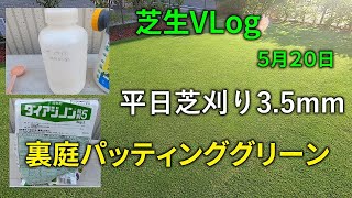 【芝VLog】5月20日、平日3.5mmカット・殺菌剤と殺虫剤散布【裏庭パッティンググリーン】