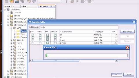 JavaDerbyTutorial.avi
