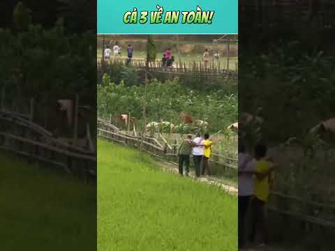3 anh em cùng tiến! #haihuoc #reviewvui #cuoichutthoi #vuinhon