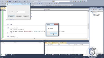 Using Parameters in sqlCommand into Visual Studio Form - ADO.NET - 09