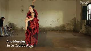 Flamenco Biënnale Online 2021 | After Movie