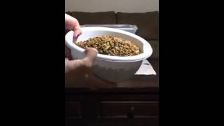 Science - Ocean Pollution Experiment