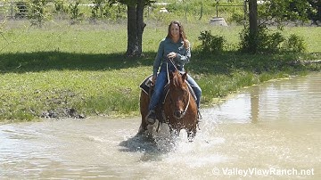 Gangsters Whiz Chic - trail riding! - ValleyViewRanch.net
