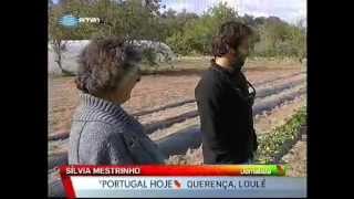 Desertificação no interior algarvio / Querença