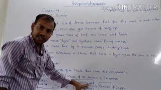 Class 4 Science Assignment 2 Discussion